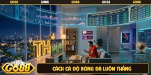 Cách cá độ bóng đá luôn thắng