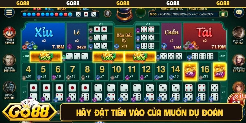 Hãy đặt tiền vào cửa muốn dự đoán